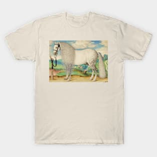 Dappled Gray Stallion Tethered in a Landscape T-Shirt